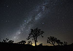 Voie Lactée - Parc national de Joshua Tree