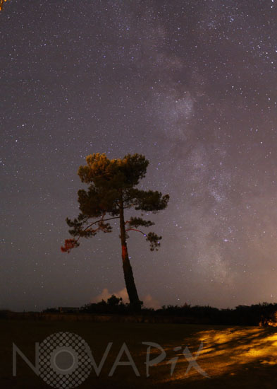 Summer Milky way