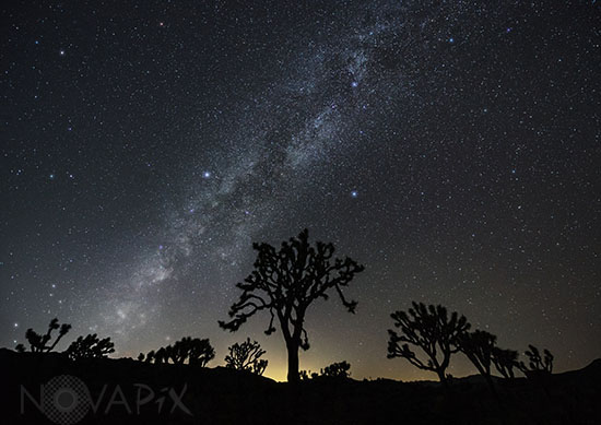 Voie Lactée - Parc national de Joshua Tree